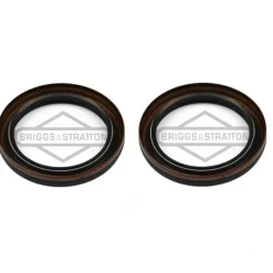 2 Pack Genuine Briggs & Stratton 795387 Oil Seal Fits 499145 690947 791892 OEM - Affordable Parts & Accessories for Motor Vehicles — Shop with Confidence